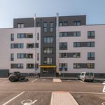 Pronajměte si 1 ložnic/e byt o rozloze 38 m² v Bakov nad Jizerou