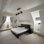Rent 3 bedroom apartment of 126 m² in Prague