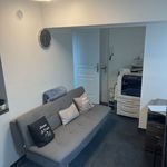 Appartement de 18 m² avec 1 chambre(s) en location à Colmar