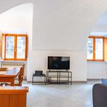 Rent 1 bedroom apartment of 71 m² in Torino