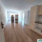 Rent 2 bedroom apartment of 43 m² in Hollabrunn