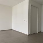 Miete 4 Schlafzimmer wohnung von 65 m² in Gordola
