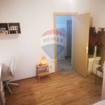 Rent 4 bedroom apartment of 105 m² in Bologna