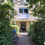 Rent 3 bedroom apartment of 61 m² in Dresden
