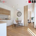 Rent 2 bedroom apartment of 43 m² in Brno