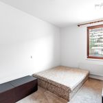 Rent 3 bedroom apartment of 85 m² in Prague