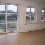 Rent 2 bedroom apartment of 65 m² in Roslev
