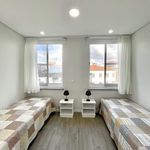 Rent a room of 120 m² in Ponta Delgada