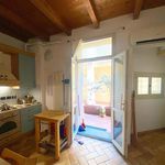 Rent 1 bedroom apartment of 49 m² in Bologna