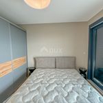 Najam 3 spavaće sobe stan od 135 m² u Ika