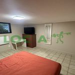 Rent 1 bedroom apartment in Longvic