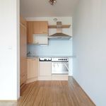 Rent 1 bedroom apartment of 49 m² in Ernsthofen