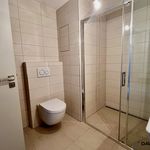 Rent 1 bedroom apartment of 52 m² in Nové Město na Moravě