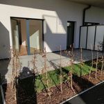 Rent 2 bedroom apartment of 53 m² in Thal