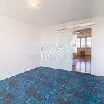 Rent 2 bedroom apartment of 53 m² in Cheb