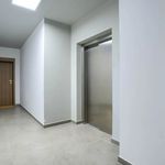 Rent 2 bedroom house of 46 m² in Warszawa