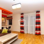 Rent 2 bedroom apartment of 51 m² in Rzeszów