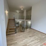 Rent 5 bedroom apartment of 133 m² in Wien