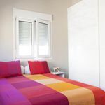 Rent 6 bedroom house in Seville