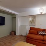 Rent 1 bedroom apartment of 26 m² in Cachan