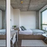 Alquilar 1 dormitorio apartamento en Barcelona