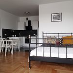 Rent 1 bedroom apartment of 55 m² in Kraków