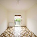 Affitto 4 camera appartamento di 120 m² in Messina