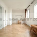 Rent 1 bedroom apartment of 32 m² in Rouen
