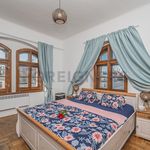 Rent 1 bedroom apartment of 60 m² in Hradec Králové