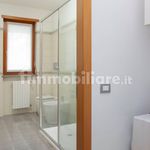 Rent 3 bedroom apartment of 114 m² in Segrate