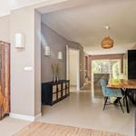 Rent 4 bedroom house of 170 m² in 's-Gravenhage