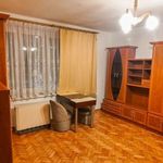 Rent 1 bedroom apartment of 36 m² in Toruń