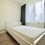Rent 2 bedroom apartment of 34 m² in Wrocław