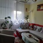 Rent 1 bedroom apartment of 36 m² in Zichovec