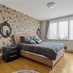 Rent 4 bedroom house of 703 m² in Sint-Niklaas