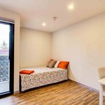 Rent 1 bedroom student apartment in Caulfield East
