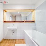 Rent 2 bedroom apartment of 52 m² in Mikulov