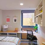 Rent 1 bedroom apartment in York