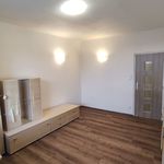 Rent 3 bedroom apartment of 63 m² in Usti Nad Labem