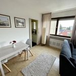 Rent 1 bedroom apartment of 34 m² in Bad Soden am Taunus