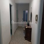Rent 4 bedroom apartment of 80 m² in Trapani