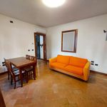 Rent 1 bedroom apartment of 50 m² in Treviso