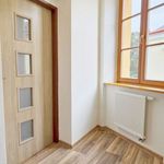 Rent 1 bedroom apartment of 24 m² in Tachov