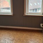 Rent 2 bedroom house of 60 m² in Menen