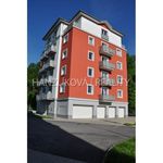 Rent 1 bedroom apartment of 26 m² in Ceské Budejovice
