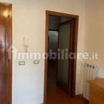 Affitto 4 camera appartamento di 80 m² in Pisa