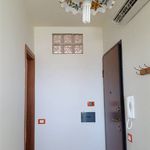 Affitto 2 camera appartamento di 40 m² in Castellammare del Golfo