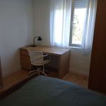 Rent a room of 100 m² in Oviedo