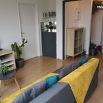 Appartement de 46 m² avec 1 chambre(s) en location à Strasbourg