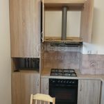 Rent 2 bedroom apartment in Lubenec